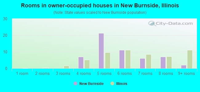 Rooms in owner-occupied houses in New Burnside, Illinois