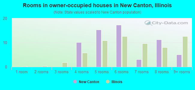 Rooms in owner-occupied houses in New Canton, Illinois