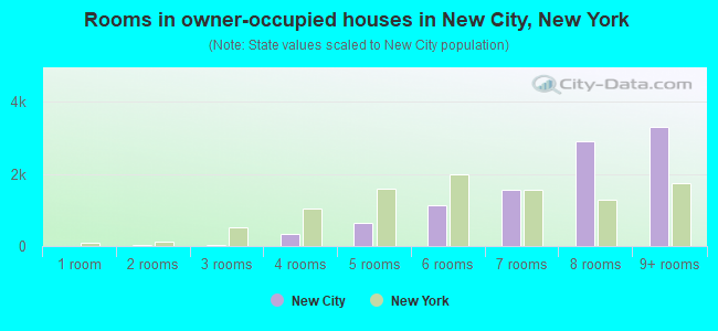 Rooms in owner-occupied houses in New City, New York