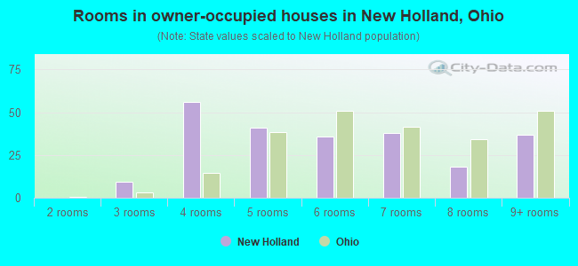 Rooms in owner-occupied houses in New Holland, Ohio