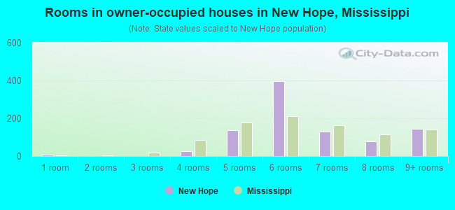 Rooms in owner-occupied houses in New Hope, Mississippi