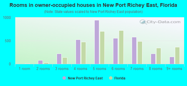 Rooms in owner-occupied houses in New Port Richey East, Florida