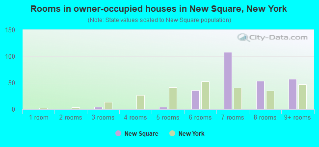 Rooms in owner-occupied houses in New Square, New York