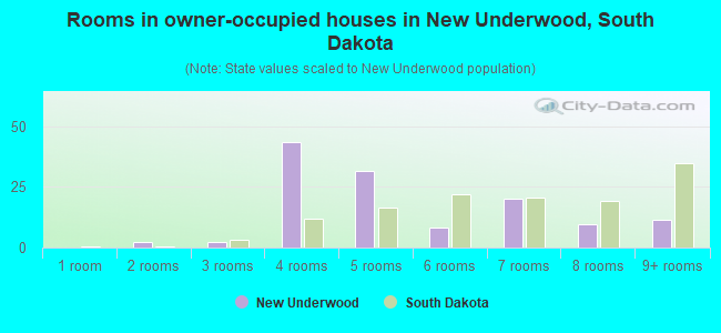 Rooms in owner-occupied houses in New Underwood, South Dakota