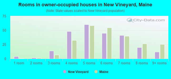Rooms in owner-occupied houses in New Vineyard, Maine