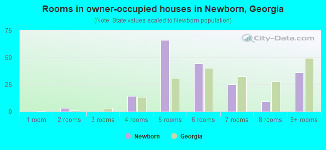 Rooms in owner-occupied houses in Newborn, Georgia