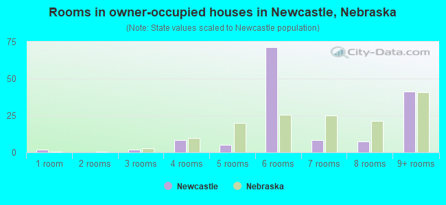Rooms in owner-occupied houses in Newcastle, Nebraska