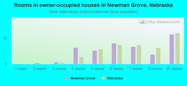 Rooms in owner-occupied houses in Newman Grove, Nebraska