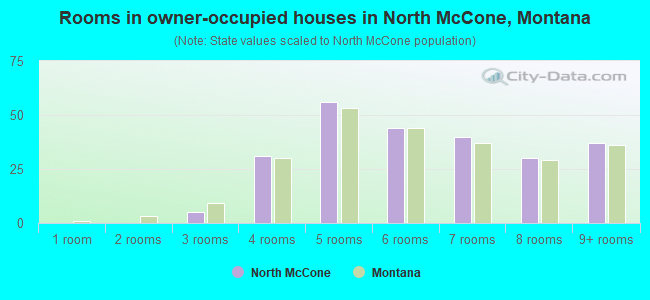 Rooms in owner-occupied houses in North McCone, Montana