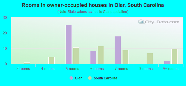 Rooms in owner-occupied houses in Olar, South Carolina