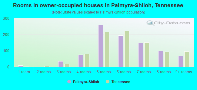 Rooms in owner-occupied houses in Palmyra-Shiloh, Tennessee