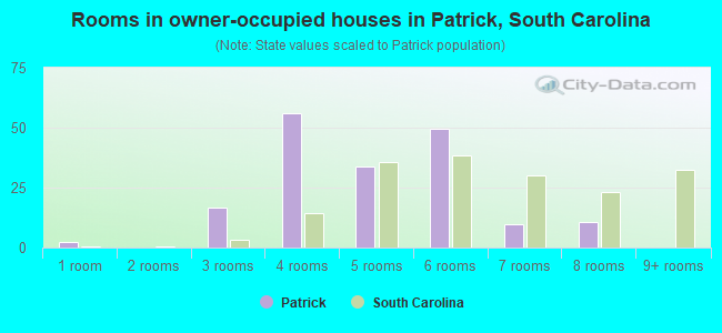 Rooms in owner-occupied houses in Patrick, South Carolina