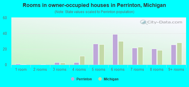 Rooms in owner-occupied houses in Perrinton, Michigan