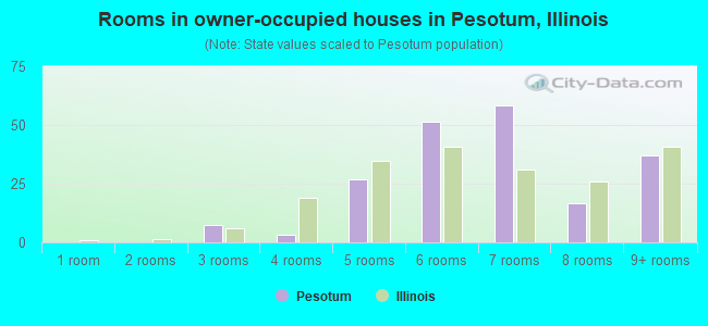Rooms in owner-occupied houses in Pesotum, Illinois