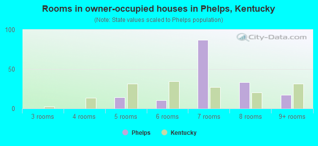 Rooms in owner-occupied houses in Phelps, Kentucky