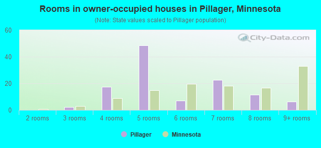 Rooms in owner-occupied houses in Pillager, Minnesota