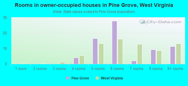 Rooms in owner-occupied houses in Pine Grove, West Virginia