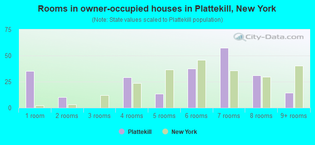 Rooms in owner-occupied houses in Plattekill, New York