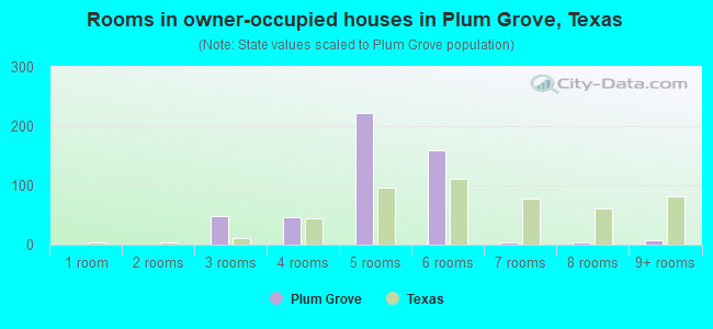 Rooms in owner-occupied houses in Plum Grove, Texas