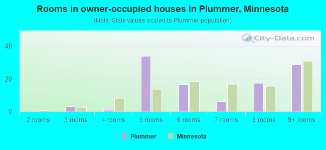 Rooms in owner-occupied houses in Plummer, Minnesota