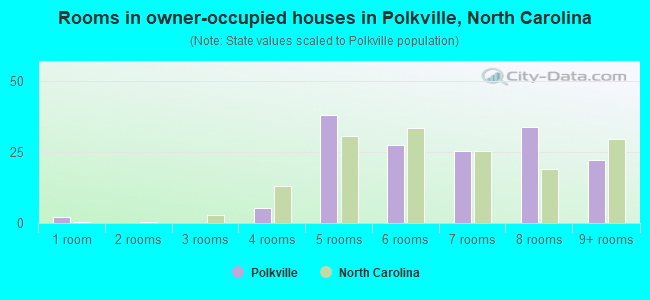 Rooms in owner-occupied houses in Polkville, North Carolina