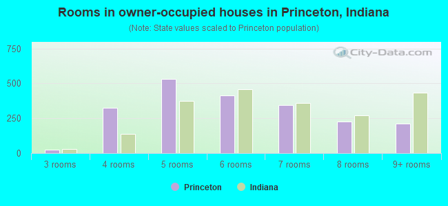 Rooms in owner-occupied houses in Princeton, Indiana