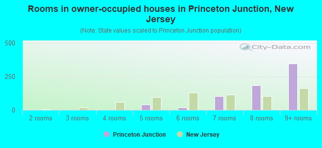 Rooms in owner-occupied houses in Princeton Junction, New Jersey