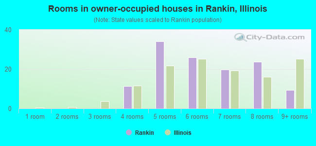 Rooms in owner-occupied houses in Rankin, Illinois