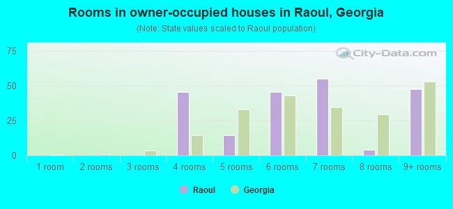 Rooms in owner-occupied houses in Raoul, Georgia