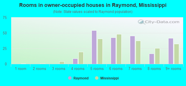 Rooms in owner-occupied houses in Raymond, Mississippi