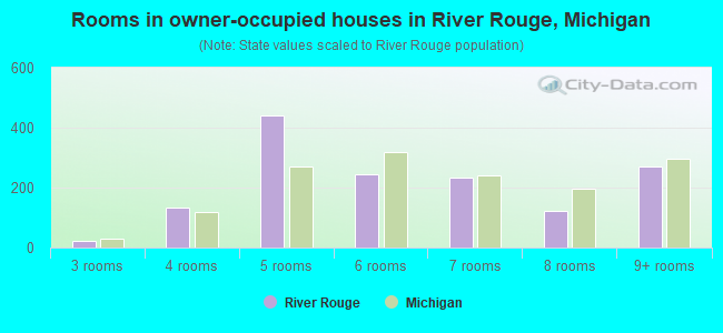 Rooms in owner-occupied houses in River Rouge, Michigan