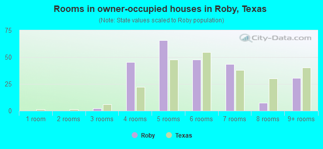 Rooms in owner-occupied houses in Roby, Texas