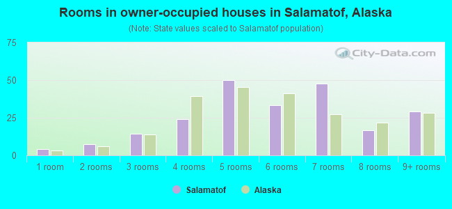 Rooms in owner-occupied houses in Salamatof, Alaska