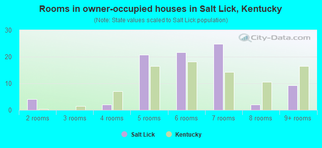 Rooms in owner-occupied houses in Salt Lick, Kentucky