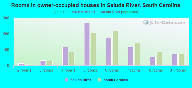 Rooms in owner-occupied houses in Saluda River, South Carolina