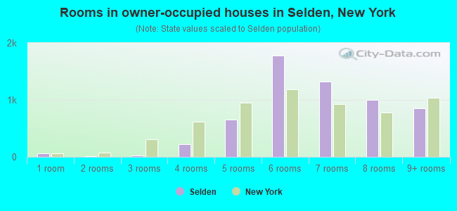Rooms in owner-occupied houses in Selden, New York