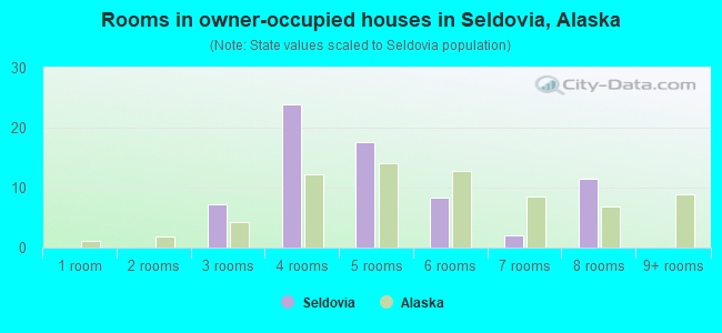 Rooms in owner-occupied houses in Seldovia, Alaska