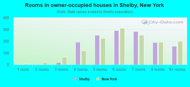 Rooms in owner-occupied houses in Shelby, New York