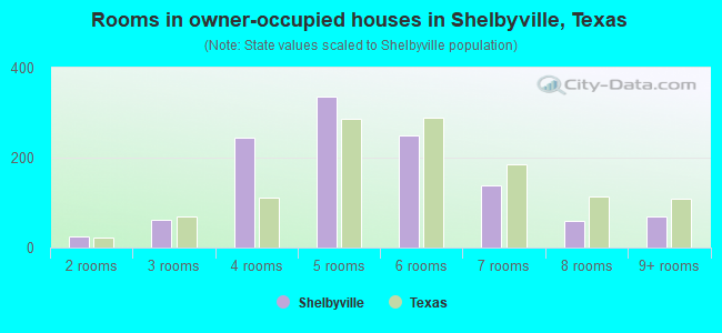 Rooms in owner-occupied houses in Shelbyville, Texas