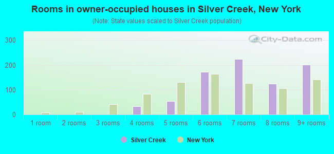 Rooms in owner-occupied houses in Silver Creek, New York
