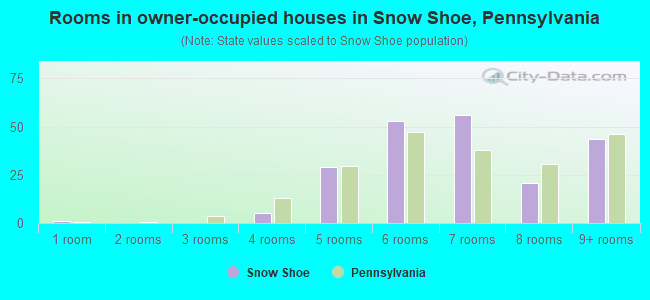 Rooms in owner-occupied houses in Snow Shoe, Pennsylvania