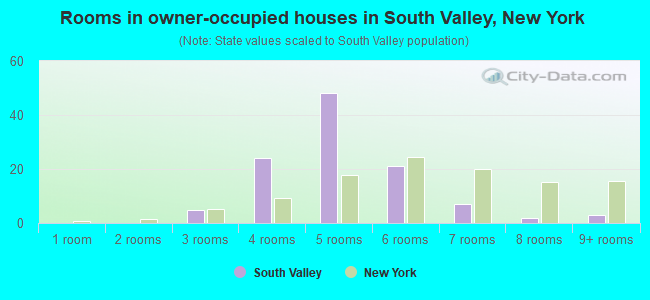 Rooms in owner-occupied houses in South Valley, New York