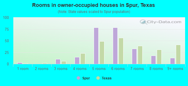 Rooms in owner-occupied houses in Spur, Texas