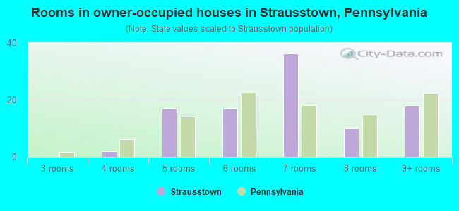 Rooms in owner-occupied houses in Strausstown, Pennsylvania