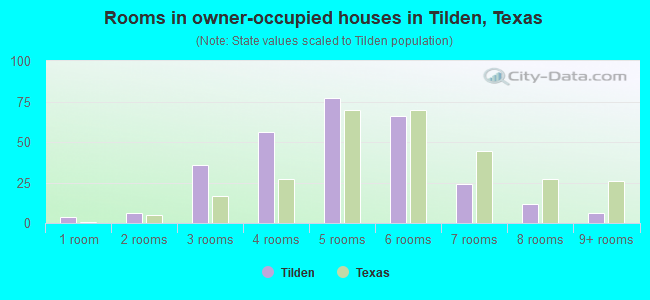 Rooms in owner-occupied houses in Tilden, Texas