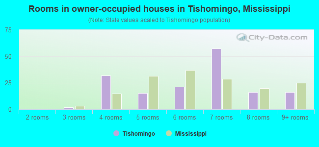 Rooms in owner-occupied houses in Tishomingo, Mississippi