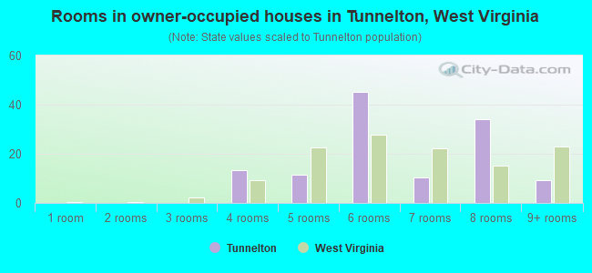 Rooms in owner-occupied houses in Tunnelton, West Virginia