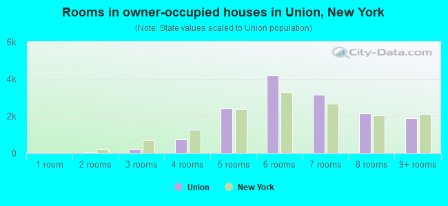 Rooms in owner-occupied houses in Union, New York