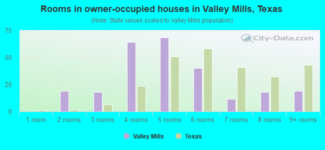 Rooms in owner-occupied houses in Valley Mills, Texas