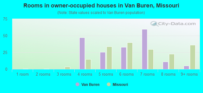 Rooms in owner-occupied houses in Van Buren, Missouri